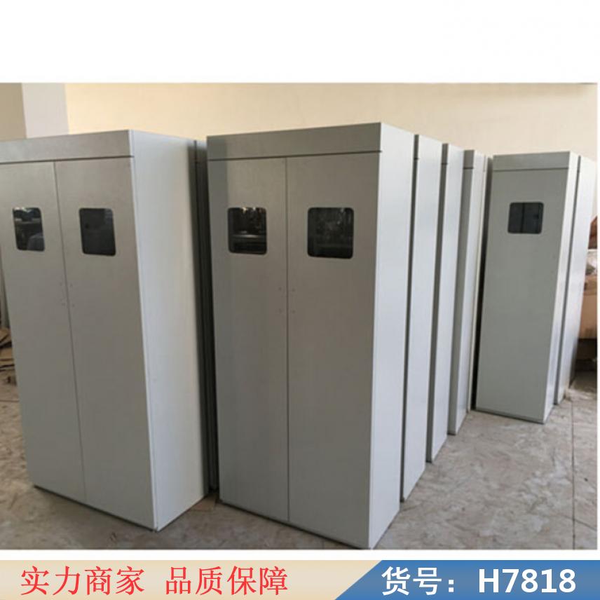 智众实验安全柜 排气柜 试验室气瓶柜货号H7818