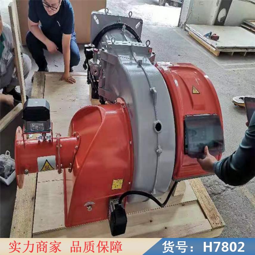 慧采氮氧化合物治理 油气两用燃烧器 气体燃烧器货号H7802