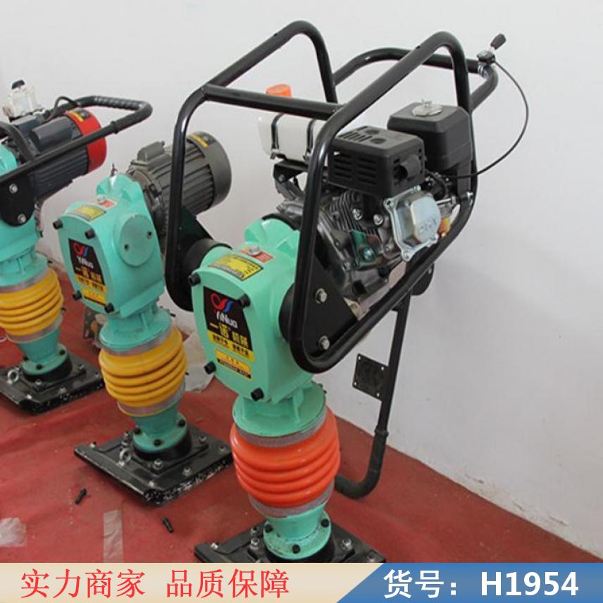 智众液压打夯机 打夯机蛙式 小挖打夯机货号H1954