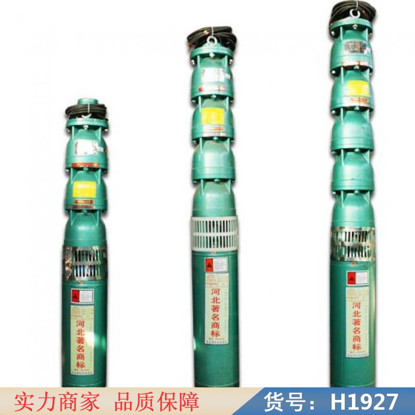 智众小潜水泵 农用潜水泵 排污潜水泵货号H1927