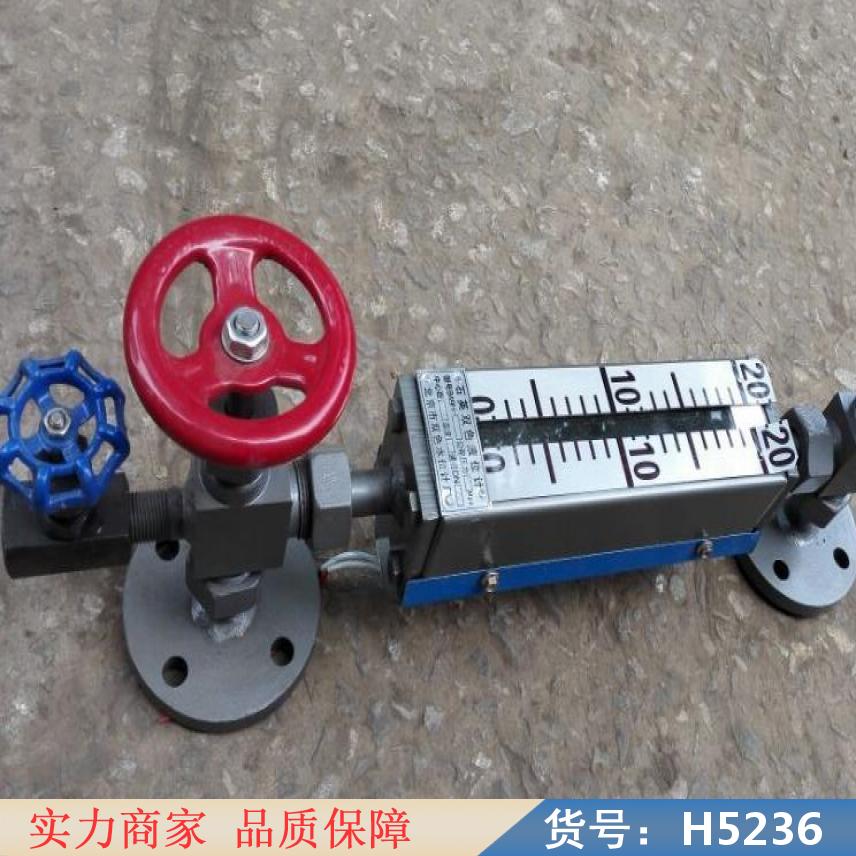 中德管式液位计 浮子翻板液位计 液位计压力货号H5236