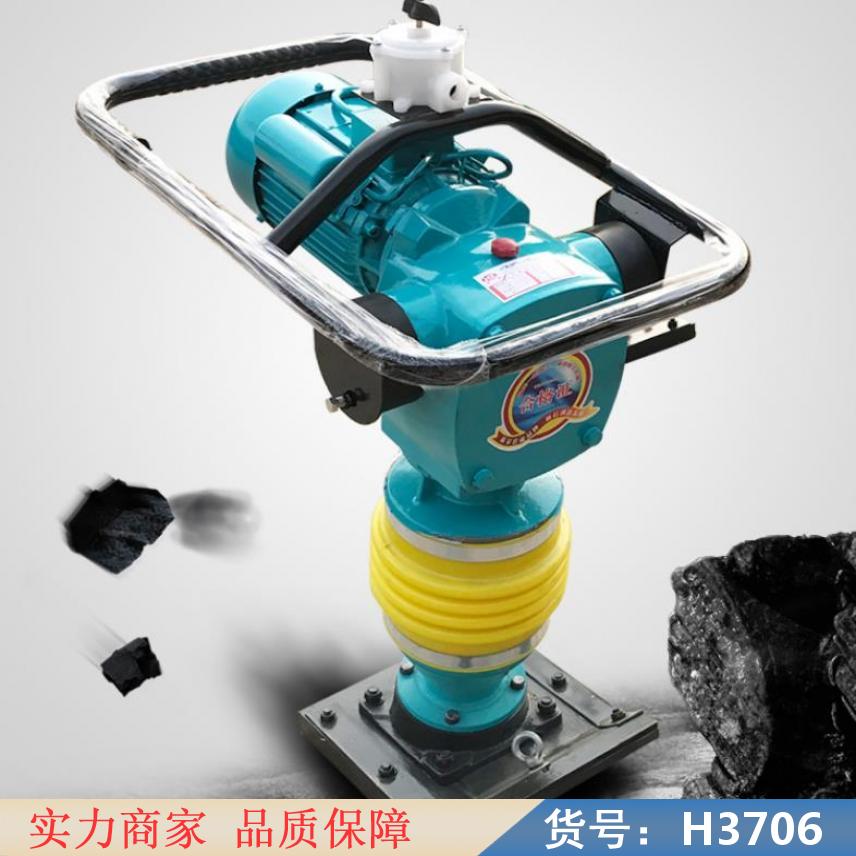 中德电动打夯机偏心轮 电动地基打夯机 电动立式打夯机货号H3706