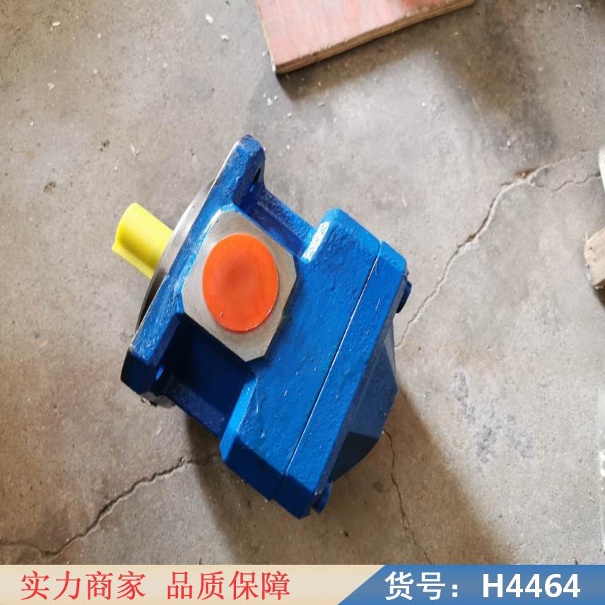 中德内齿齿轮泵 高粘度齿轮泵 齿轮泵自吸货号H4464