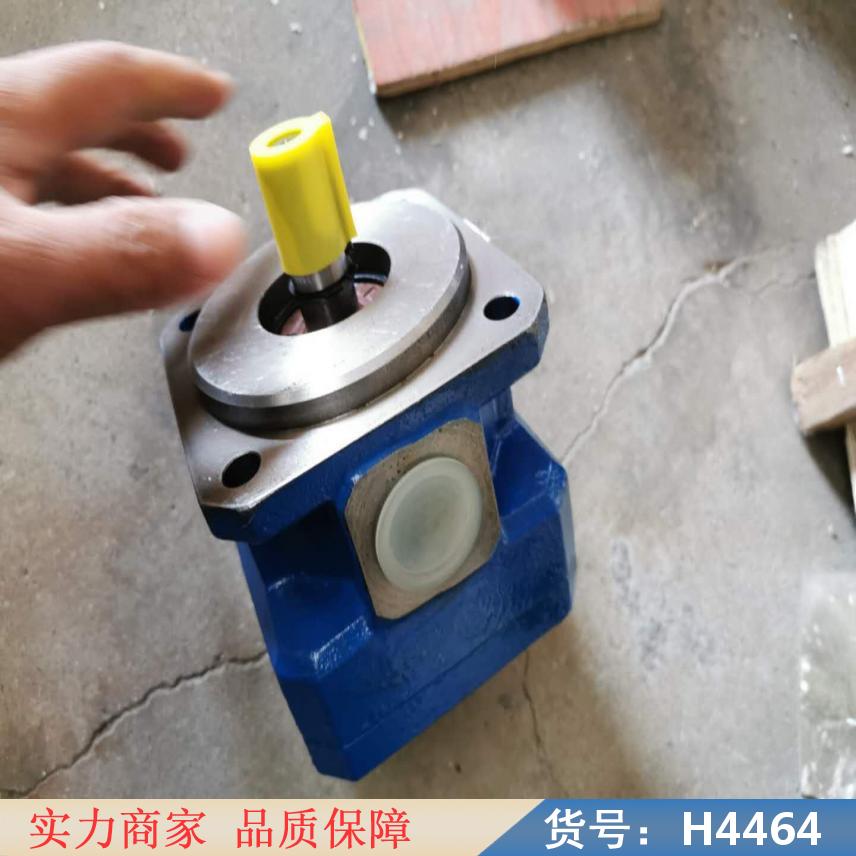 中德内齿齿轮泵 防爆齿轮泵 柱塞泵货号H4464