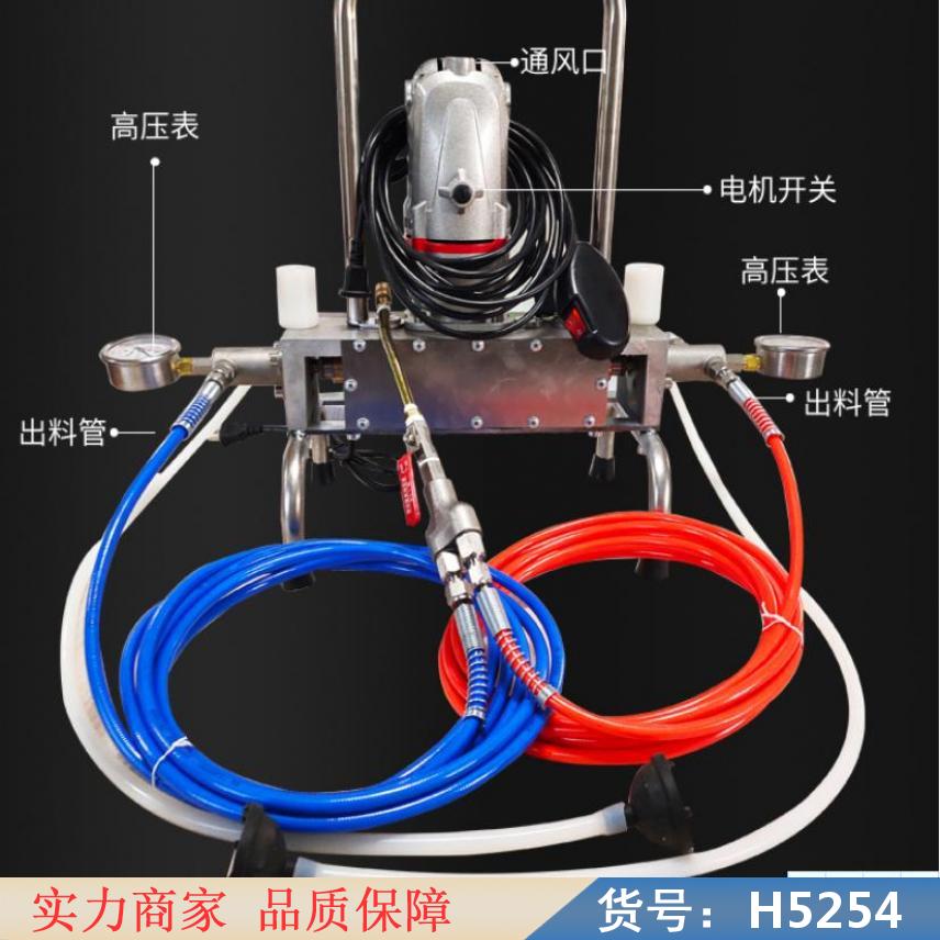 中德堵漏注浆机 地基注浆机 水固化高压注浆机货号H5254