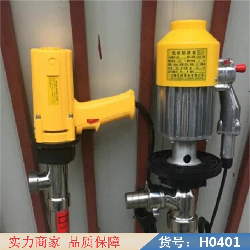 中德电动抽油泵 电动柴油抽油泵 220v电动抽油泵货号H0401