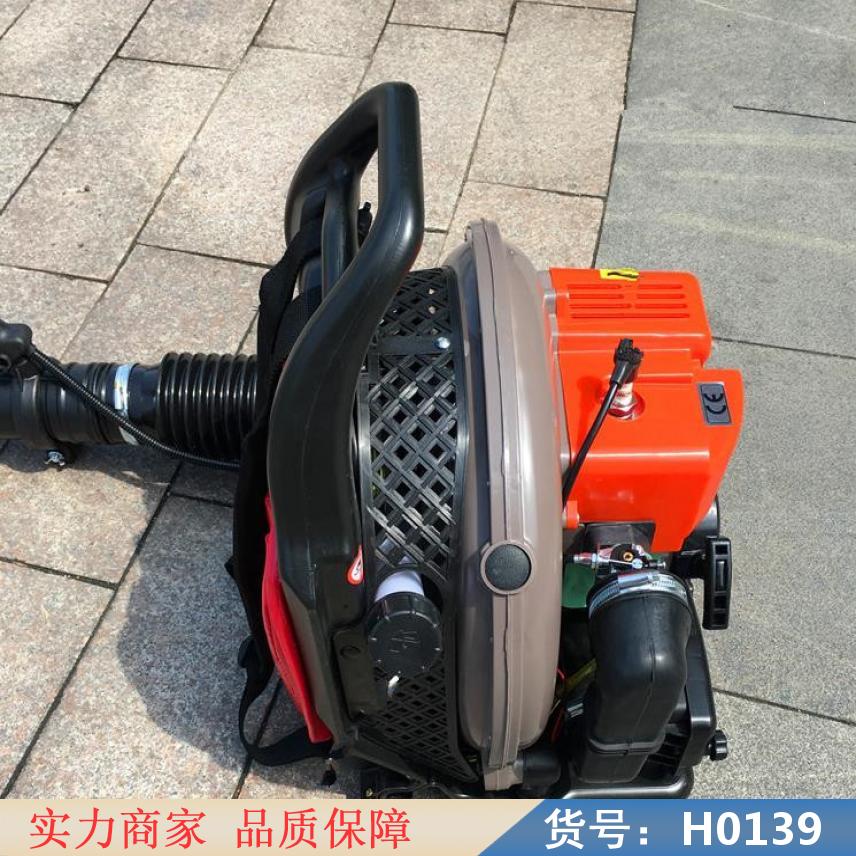 中德风力灭火机 泡沫型灭火器 泡沫型自动灭火器货号H0139