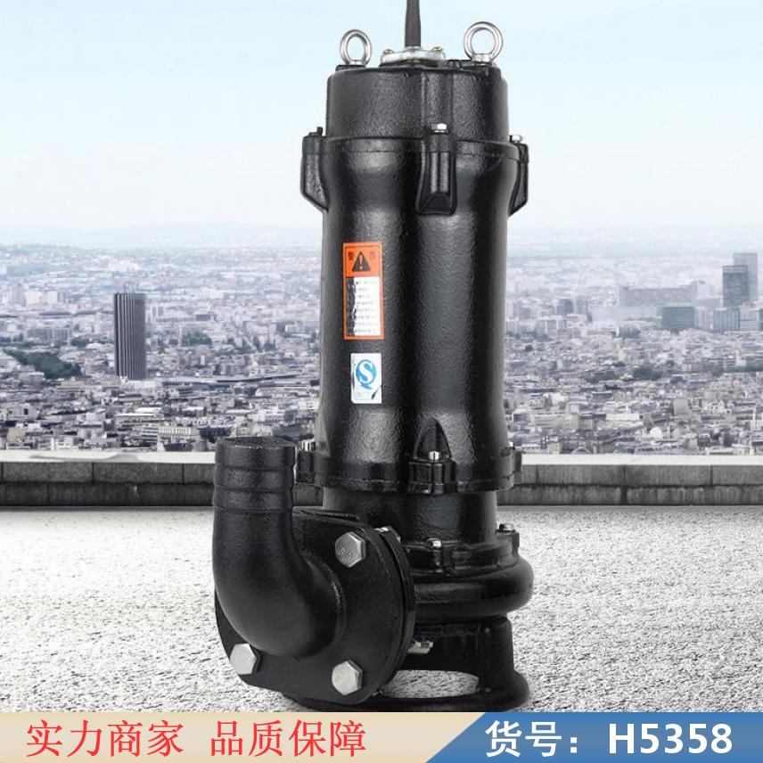 中德自藕式排污泵 不锈钢污水泵 矿用排污泵货号H5358
