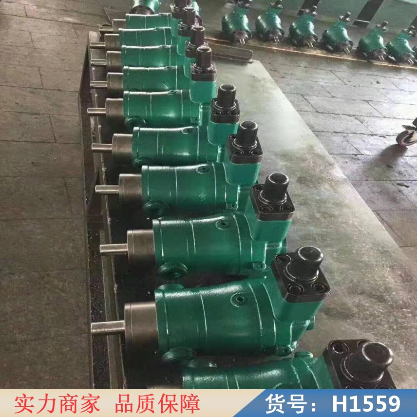 中德轴向电容柱塞泵 斜轴式无铰轴向柱塞泵 微型柱塞泵货号H1559