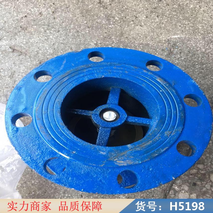 中德梭式止回阀 沟槽止回阀 铸铁止回阀货号H5198