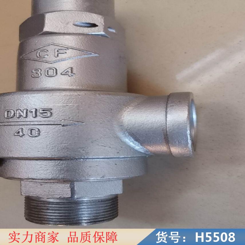 中德弹簧式安全阀 先导式安全阀 蒸汽安全阀货号H5508