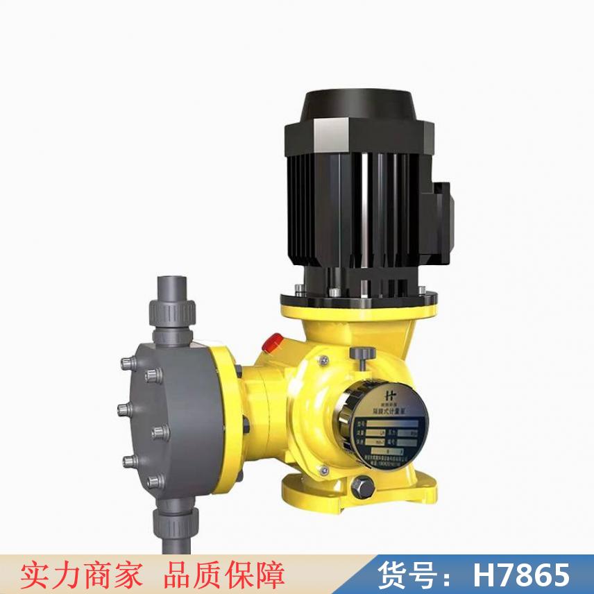 智众微型水泵 不锈钢隔膜计量泵 柱塞隔膜计量泵货号H7865