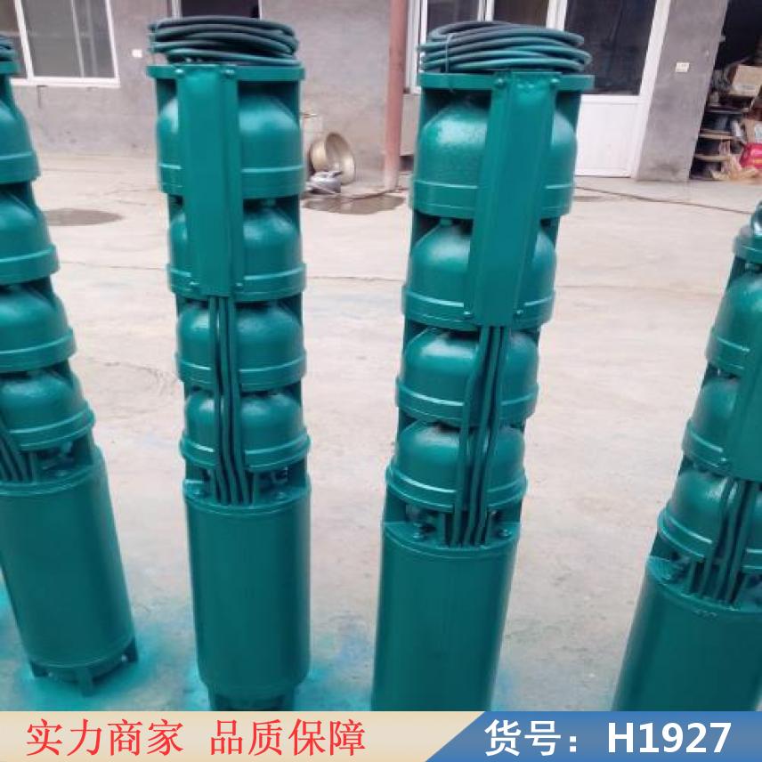 智众铸铁潜水泵 太阳能潜水泵 过滤潜水泵货号H1927