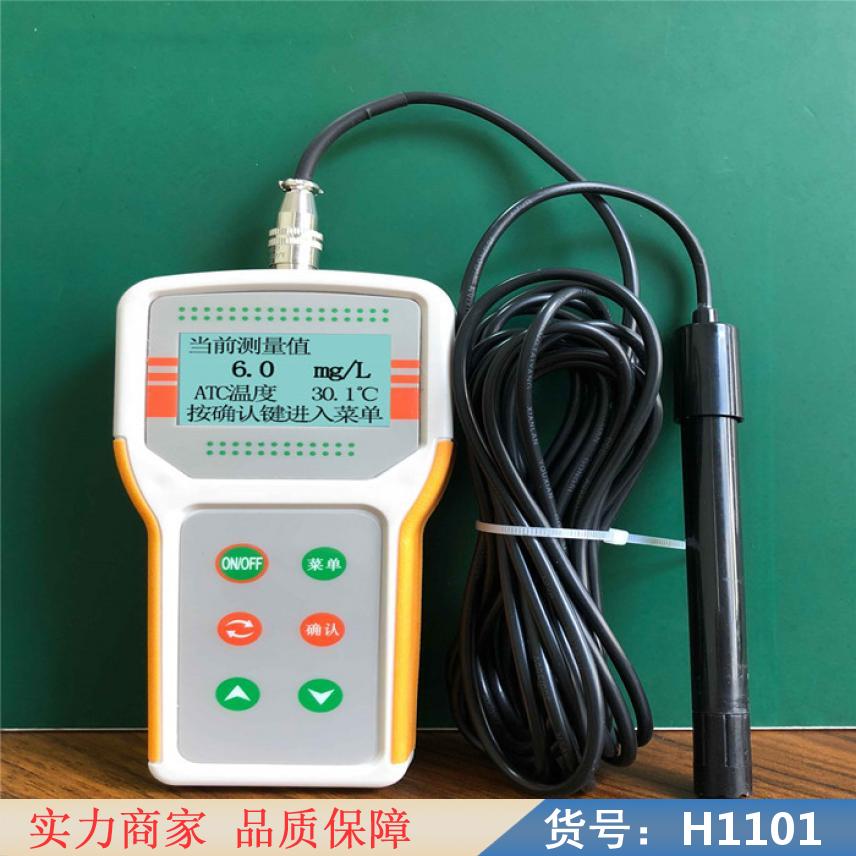 智众池塘溶氧仪 虾塘溶氧仪 溶氧仪分析仪货号H1101