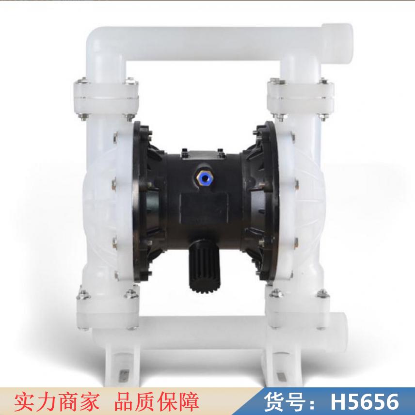 智众隔膜泵 隔膜泵微型 计量隔膜泵货号H5656