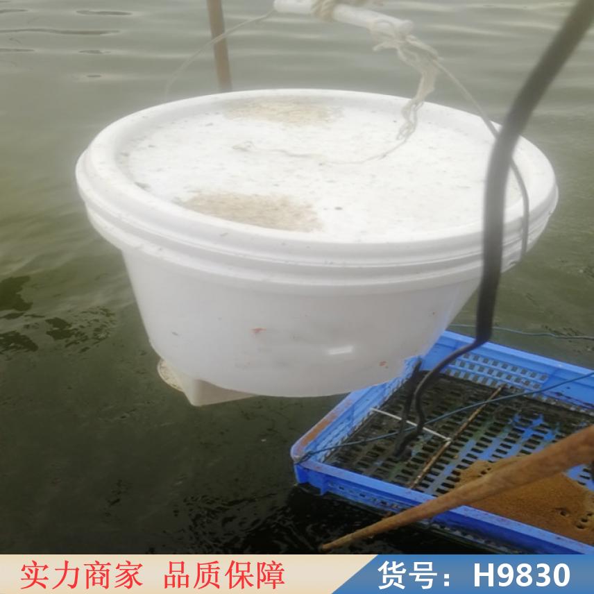 智众渔牌投料机 喂鱼的投料机 小型鱼饲料自动投喂机货号H9830