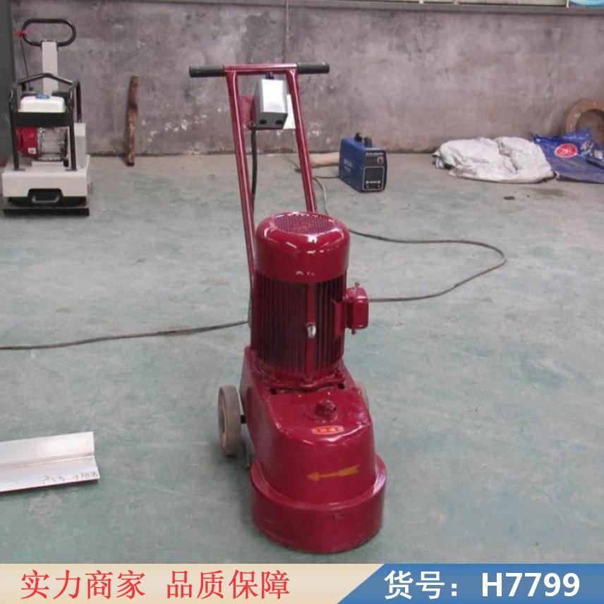 智众镜面水磨石机 家用220V水墨石机 220v水磨石机货号H7799