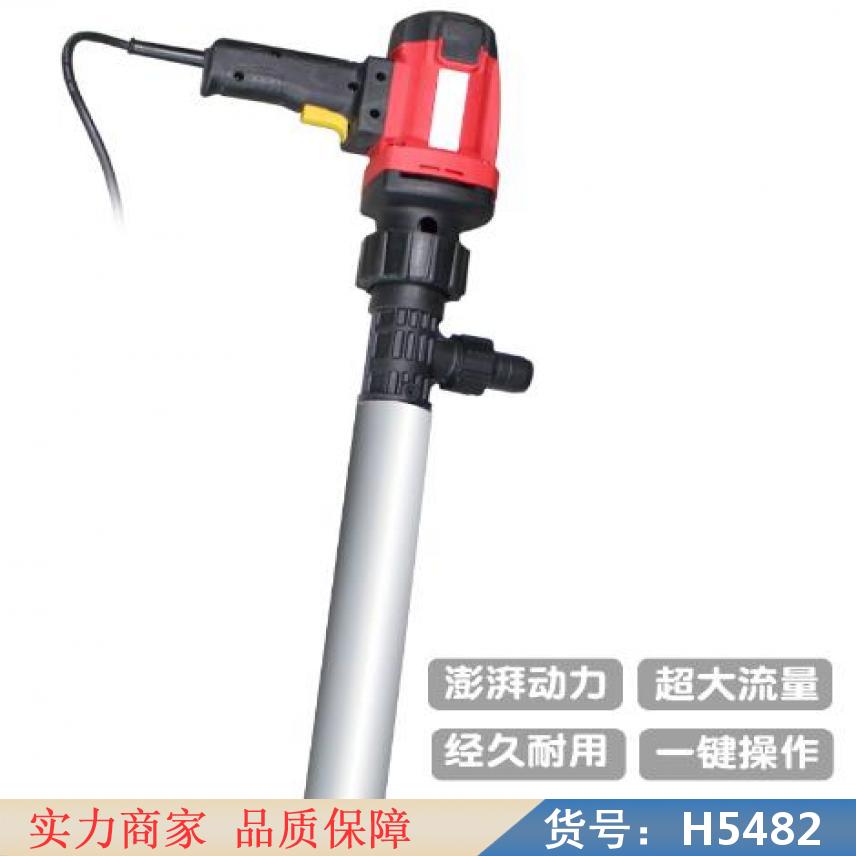 智众电动柴油抽油泵 电动抽油泵220v 12直流电动抽油泵货号H5482