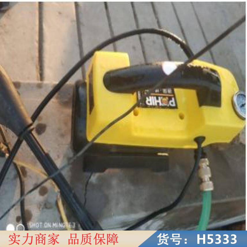 中德高温蒸汽清洗机 小型超声波清洗机 辣椒清洗机货号H5333