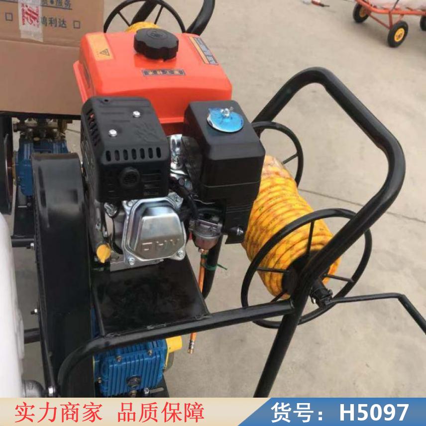 中德农用电动喷雾器 超低容量喷雾器 手动背负式喷雾器货号H5097
