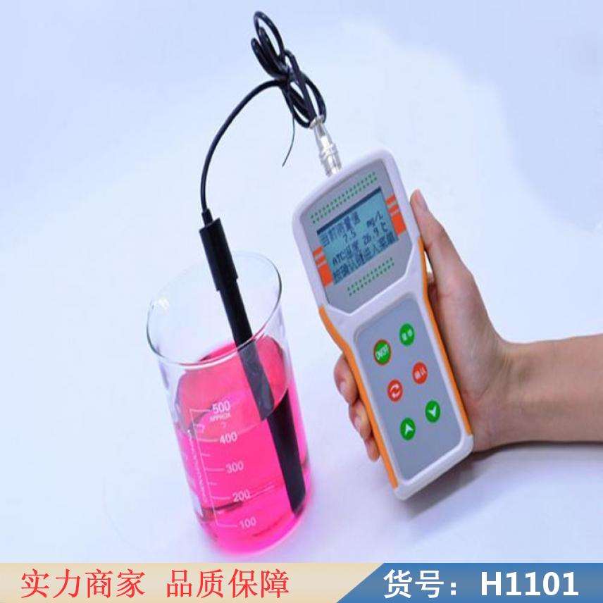 智众荧光法溶氧仪 鱼塘溶氧仪 微量溶氧仪货号H1101