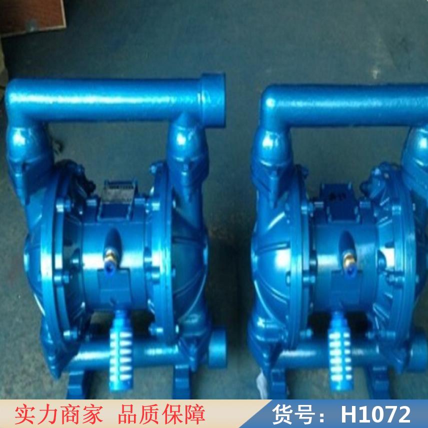智众气动双隔膜泵 双隔膜泵 止回阀丁腈橡胶货号H1072