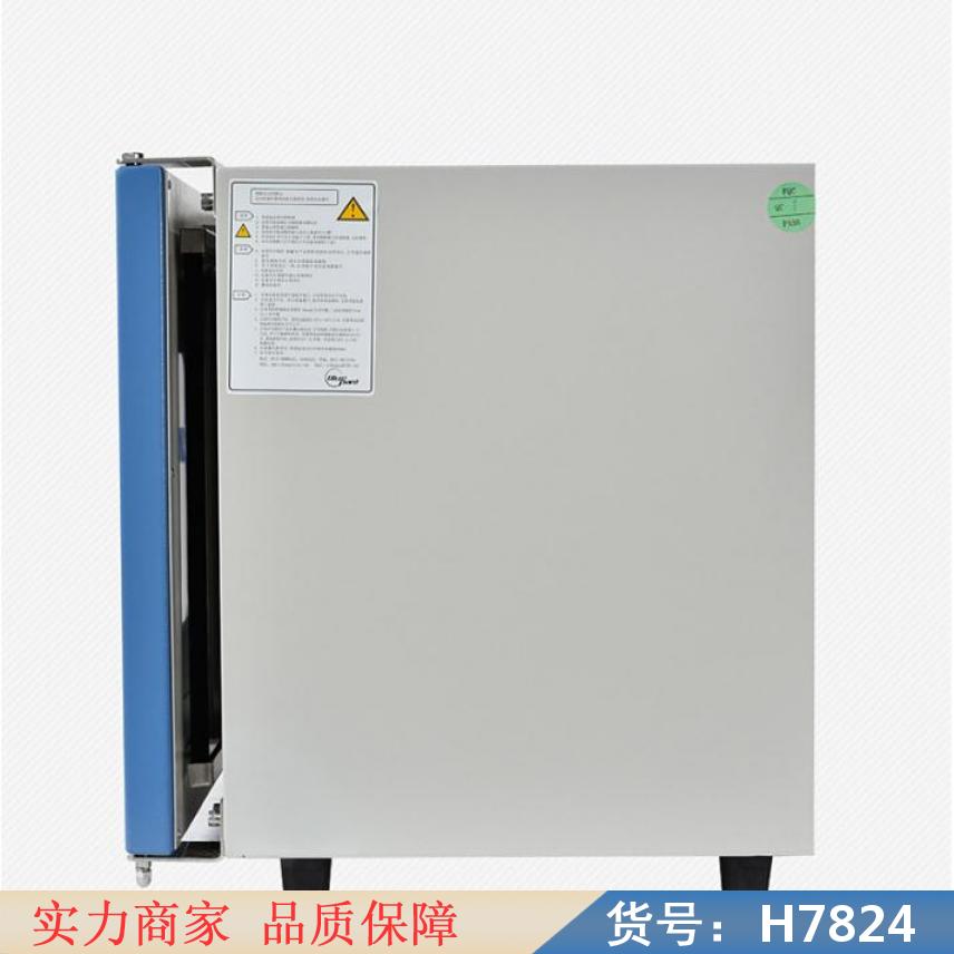 智众恒温鼓风干燥箱 高温干燥箱 精密干燥箱货号H7824