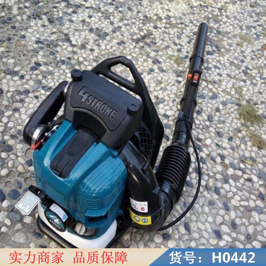 智众多功能风力灭火机 电动风力灭火机 圆头吹风机货号H0442