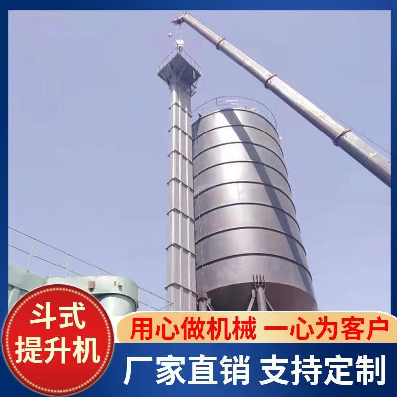 斗式提升机  环链式斗式提升机厂家