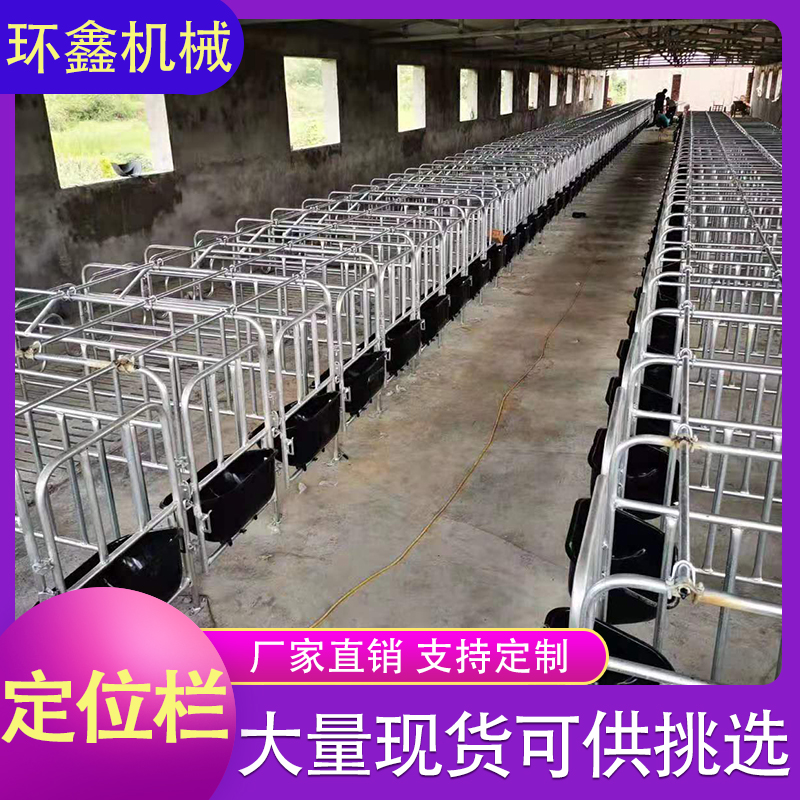 母猪定位栏 定位栏 限位栏