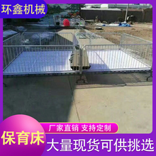 环鑫机械 加厚加重产床 母猪全复合产床 养猪床产保一体两用床 厂家直销