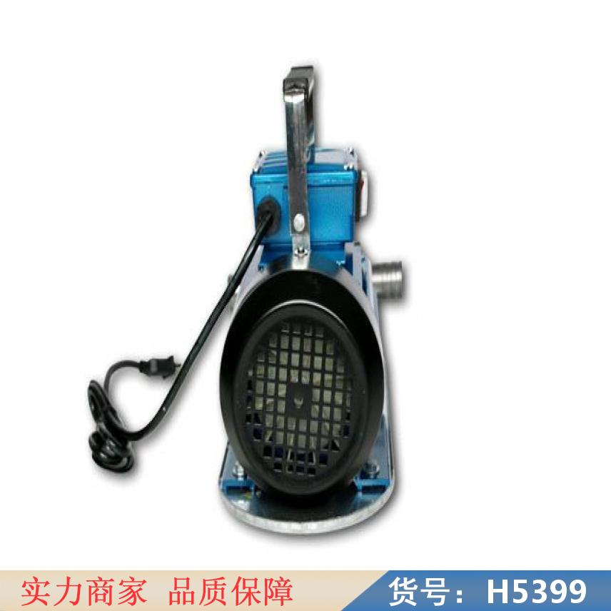 中德大功率手提式抽油泵 手提式电动抽油泵220v 手提式电动抽油货号H5399