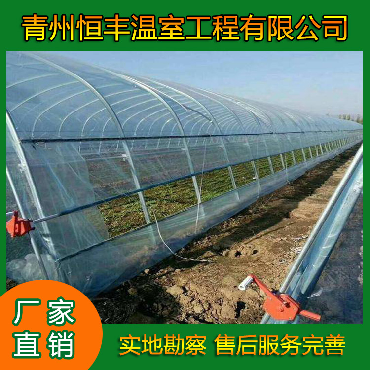 恒丰  农业温室单栋大棚  杨桃温室大棚
