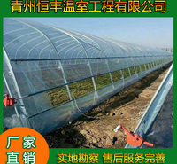 恒丰   现代化单拱温室大棚  经济实惠冷棚育苗