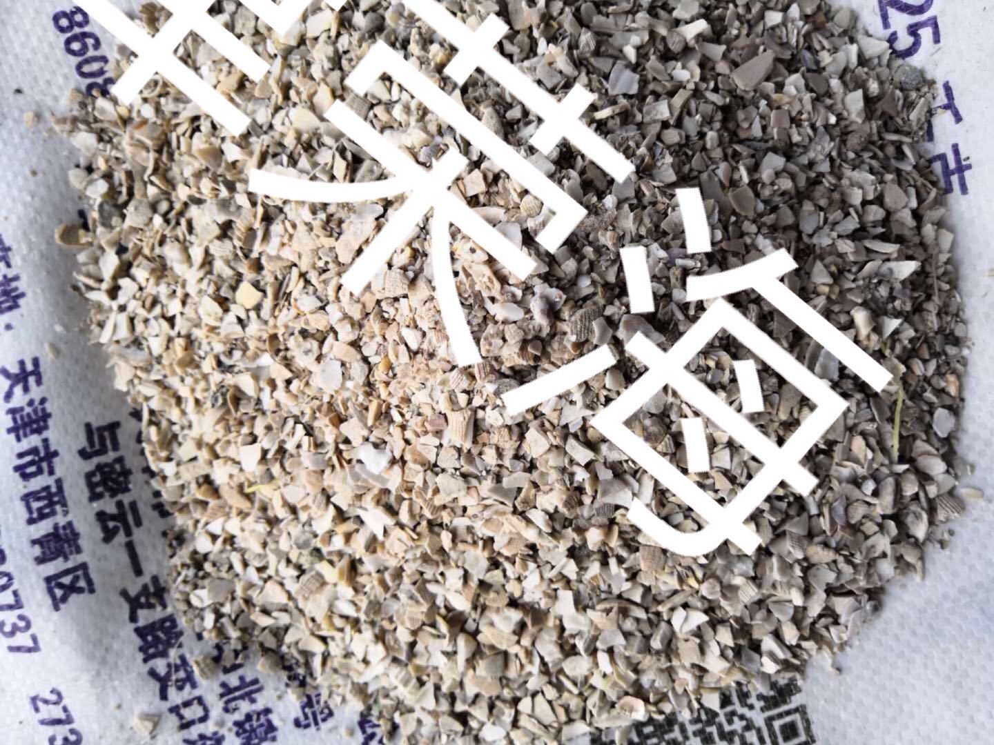 天津荣海 大量批发 出售贝壳粉末贝壳颗粒 饲料级贝壳粉价格蛋鸡补钙 水洗贝壳粉 质量优