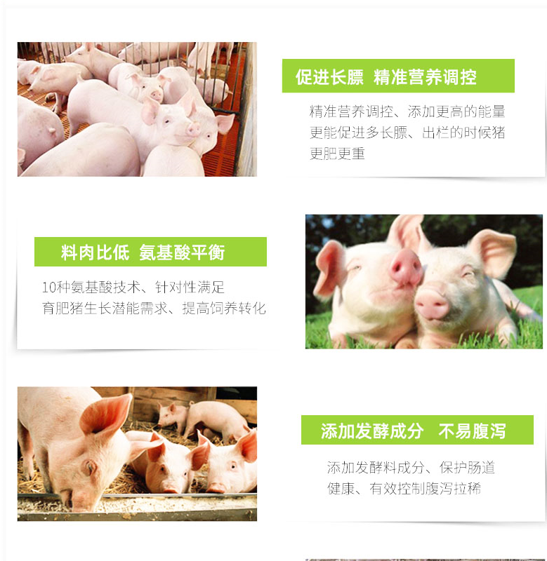 希佰来厂家现货供应各种阶段猪配合饲料欢迎咨询