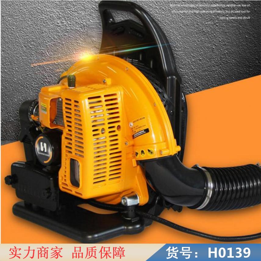 慧采车载泡沫灭火器 蛋白泡沫灭火器 泡沫型灭火器货号H0139