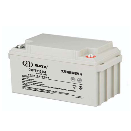 鸿贝蓄电池CNF/BB1265T 12V65Ah UPS/EPS太阳能储能专用