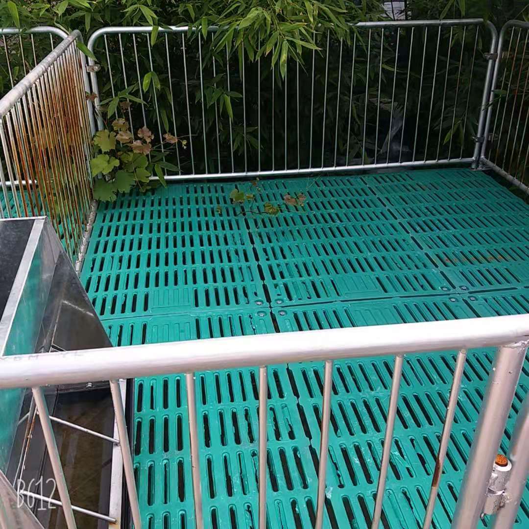 全复合双体仔猪保育床小猪复合漏粪板猪用围栏产床定为栏养猪设备
