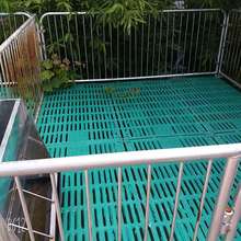 全复合双体仔猪保育床小猪复合漏粪板猪用围栏产床定为栏养猪设备