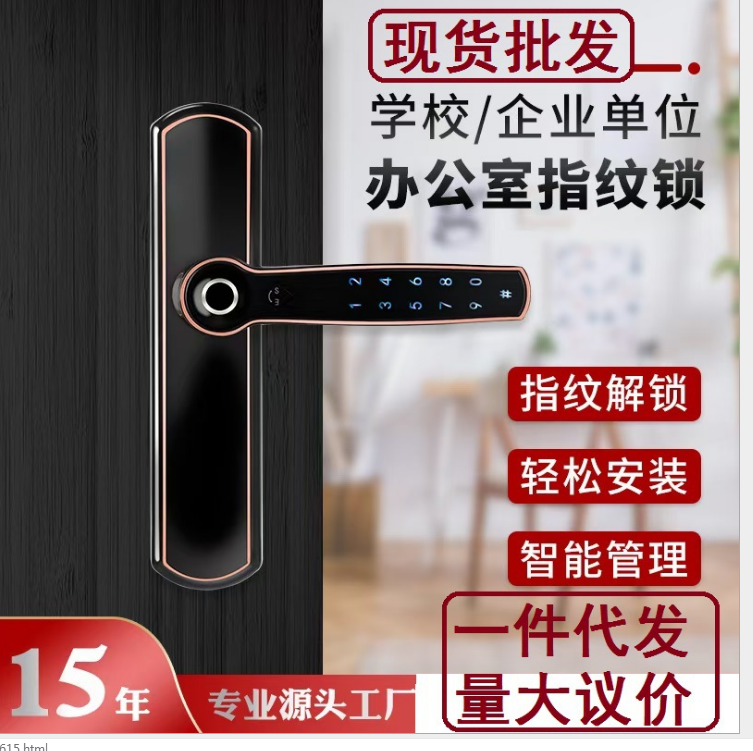 远程app密码锁蓝牙锁   民宿公寓门锁出租房密码锁  木门锁密码门锁 