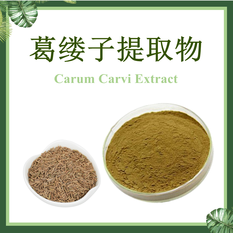 葛缕子提取物 10:1 葛缕提取物【SC厂家】葛缕籽提取物 