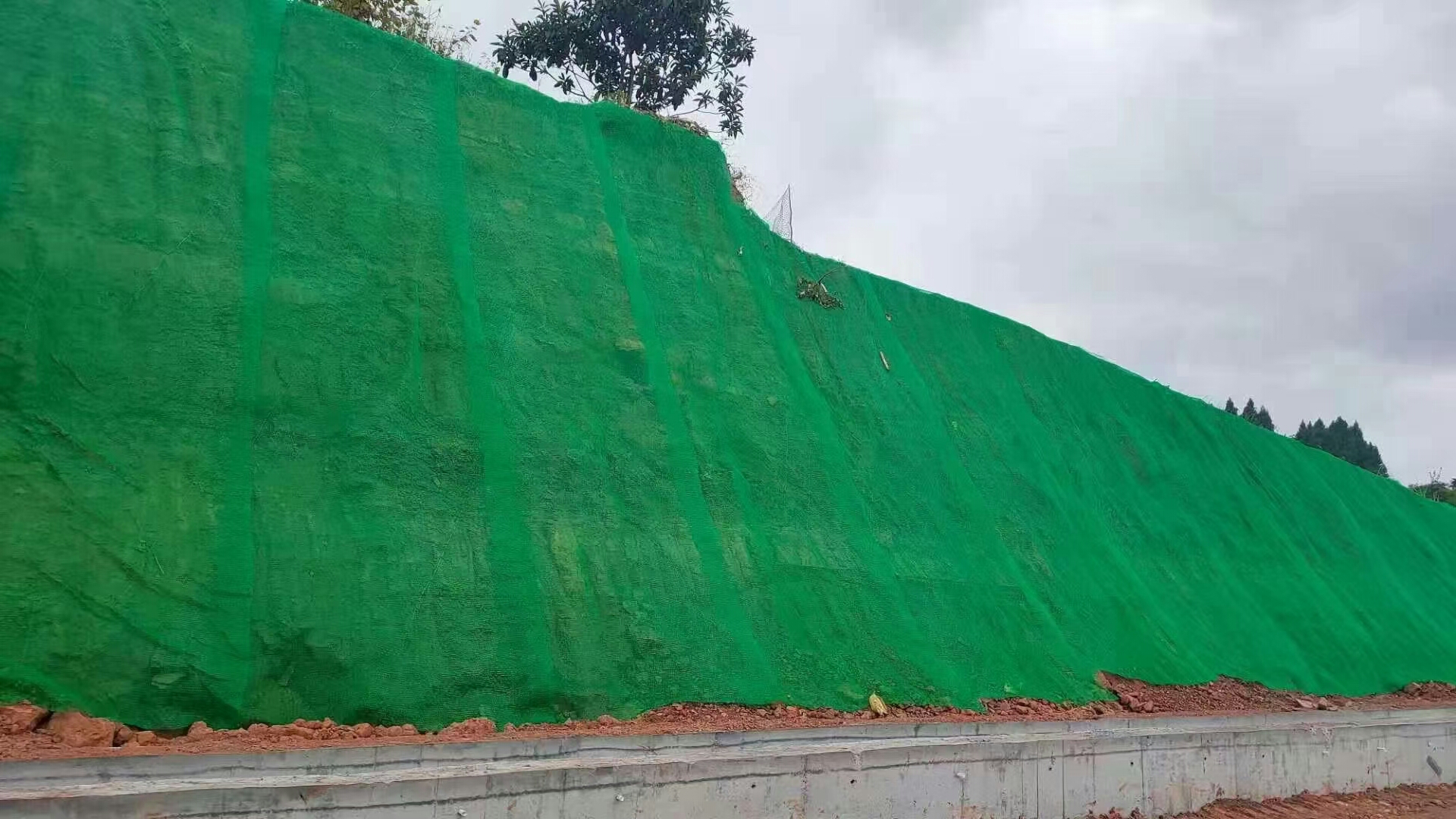 植草三维网厂家 联拓