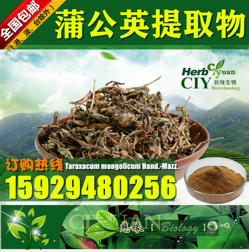 南瓜籽提取物 10:1 南瓜子提取物 【SC厂家】南瓜籽粉