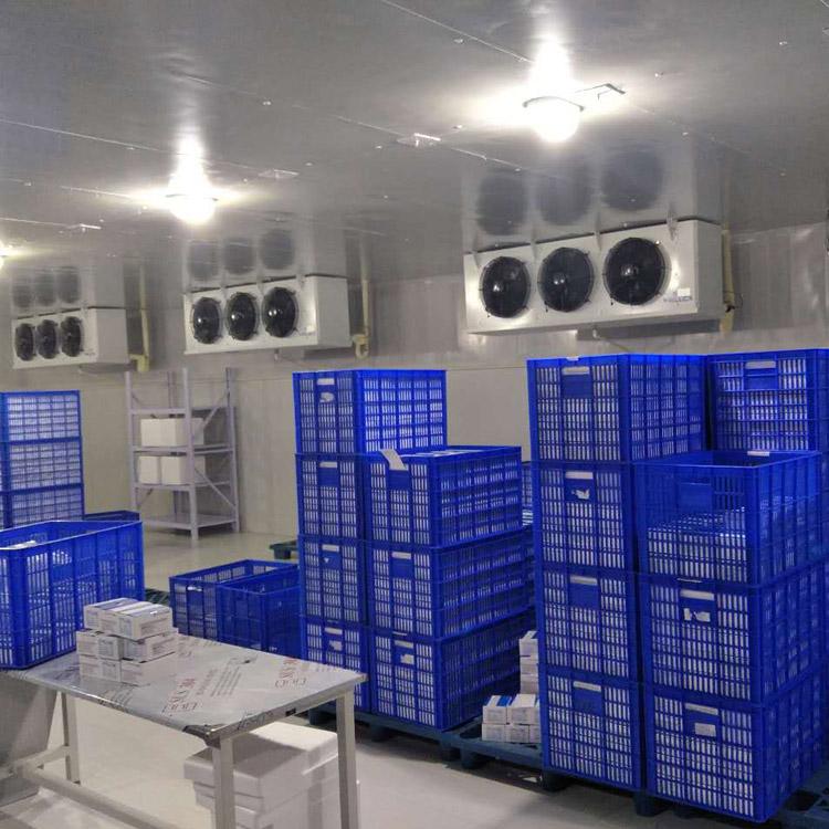麟游县大型冷库公司  苹果保鲜冷藏库  食用菌冷库制作  厂家送货上门