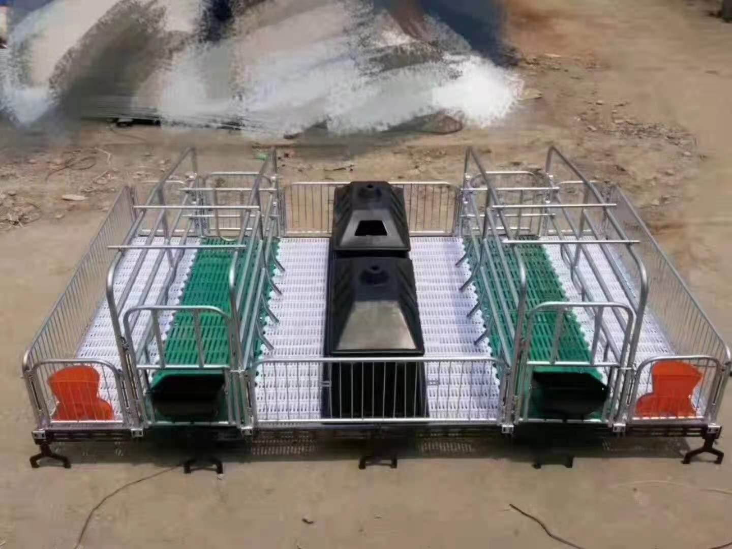 母猪产床PVC 隔板欧式产床养殖场用母猪分娩床可定制