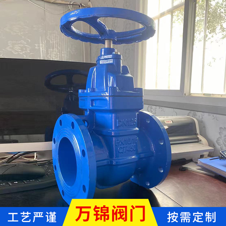 球墨铸铁暗杆防护闸阀 硬密封闸阀 按需定制 铜芯球墨铸铁闸阀