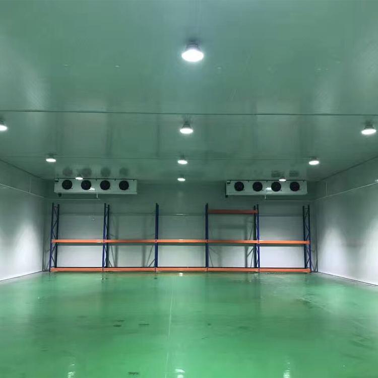 西安水果保鲜冷库安装造价 新冷源 大肉冷藏库建造  源头工厂 高配低价