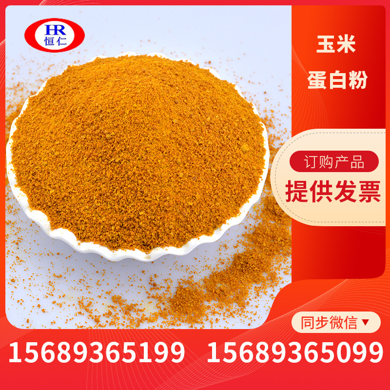 玉米蛋白粉 玉米提取物蛋白 恒仁厂家50kg装批发