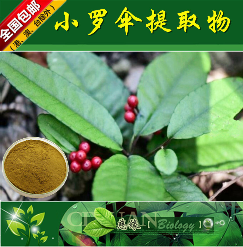 小罗伞提取物 10:1 朱根砂提取物【SC厂家】小罗伞粉